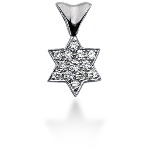 Stjerneformet symbolanheng i hvitt gull med 13 st diamanter (0.27 ct.)