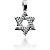 Stjerneformet symbolanheng i hvitt gull med 24 st diamanter (0.6 ct.)